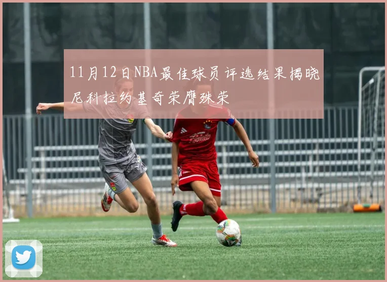 11月12日NBA最佳球员评选结果揭晓尼科拉约基奇荣膺殊荣