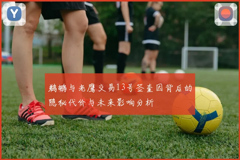 鹈鹕与老鹰交易13号签奎因背后的隐秘代价与未来影响分析