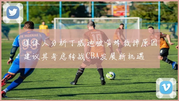 媒体人分析丁威迪被黄蜂裁掉原因建议其考虑转战CBA发展新机遇